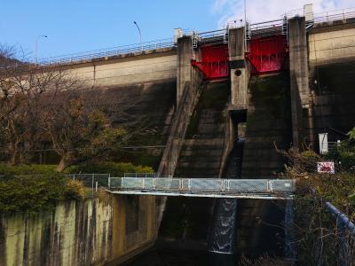長崎県『猫山ダム(ねこやま)』のダムカード配布情報 | ダムこれ！