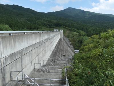 岐阜県『中野方ダム(なかのほう)』のダムカード配布情報 | ダムこれ！