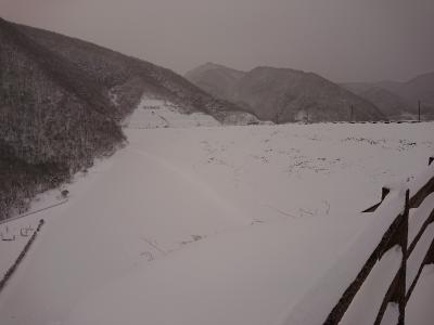 ダムグッズ 宮城県七ヶ宿ダム 水密ゴム 管理所発行証明書付き！ ダムカード系 Amazon.co.jp: 山鳥坂ダム建設中鹿野川ダム ダムカード 2枚
