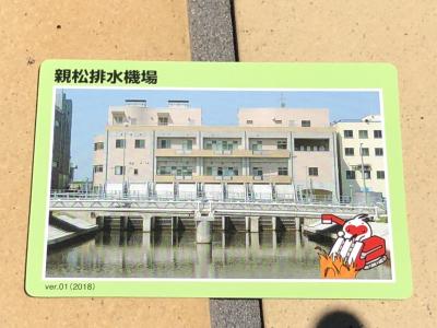 排水機場カード　ダムカード　大秋排水機場、白根排水機場、親松排水機場(新潟県)