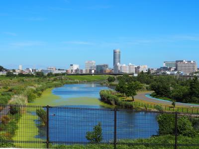神奈川県『鶴見川多目的遊水地(つるみがわたもくてきゆうすいち)』の