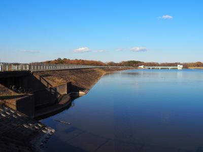 千葉県 山倉ダム やまくら のダムカード配布情報 ダムこれ