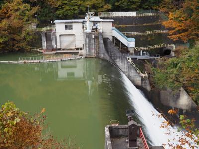 群馬県 小森ダム こもり のダムカード配布情報 ダムこれ